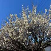 ヒメ日記 2026/03/20 20:21 投稿 中野のあ 熟女パラダイス岐阜羽島店（カサブランカグループ）