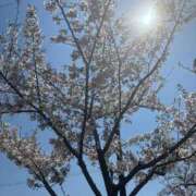 中野のあ おはようございます?? 熟女パラダイス岐阜羽島店（カサブランカグループ）