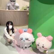 ヒメ日記 2026/02/12 10:01 投稿 うらら 水戸女学院PTA