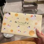 ヒメ日記 2026/02/18 01:09 投稿 ゆらの【合法ロリな彼女】 STELLA TOKYO－ステラトウキョウ－