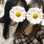 ヒメ日記 2026/02/26 11:00 投稿 ゆあ かりんと池袋