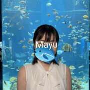 ヒメ日記 2026/06/22 07:33 投稿 まゆ 松戸角海老岩瀬店