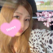 ヒメ日記 2026/02/23 12:10 投稿 ふう SEXIS-セクシーズ-