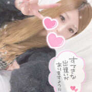 ヒメ日記 2026/02/25 12:05 投稿 ふう SEXIS-セクシーズ-