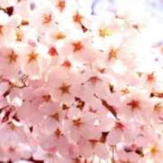 新人・愛花(あいか) もうあっという間に1週間 グランドオペラ東京