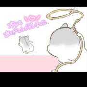 ヒメ日記 2026/02/20 18:53 投稿 あき 千葉柏ちゃんこ