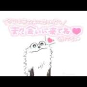 ヒメ日記 2026/03/14 20:54 投稿 あき 千葉柏ちゃんこ