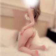 Seika/せいか ヌクヌクしたい💘 プロフィール加古川