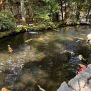 ヒメ日記 2026/04/09 19:18 投稿 あおい シンデレラ【平均年齢20才、風俗未経験の娘が8割以上】