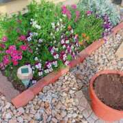 ヒメ日記 2026/04/14 20:18 投稿 あおい シンデレラ【平均年齢20才、風俗未経験の娘が8割以上】