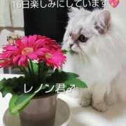 ヒメ日記 2026/02/14 23:52 投稿 岡山しおり ウフフな40。ムフフな50。。（横浜ハレ系）