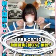 ヒメ日記 2026/03/02 20:36 投稿 こぐまもも イクイクサークル鶯谷店