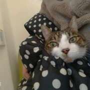 ヒメ日記 2026/02/12 11:16 投稿 ゆりあ ぽっちゃり巨乳専門店ちゃんこ八王子店