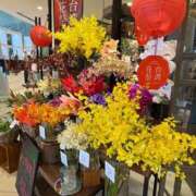 ヒメ日記 2026/07/11 11:19 投稿 つぐみ 完熟ばなな 谷九店