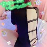 ヒメ日記 2026/02/06 15:57 投稿 みいな 人妻の蜜