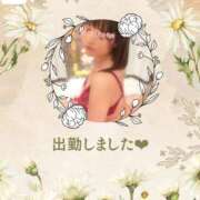 ヒメ日記 2026/09/01 14:31 投稿 永野えみか MADAM