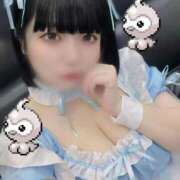 ヒメ日記 2026/02/23 11:23 投稿 花守つむぎ コウテイ