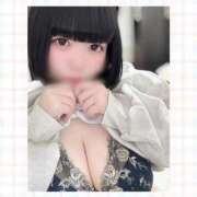 ヒメ日記 2026/02/26 07:55 投稿 花守つむぎ コウテイ