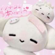 ヒメ日記 2026/03/02 10:55 投稿 花守つむぎ コウテイ