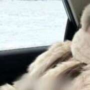 ヒメ日記 2026/02/16 06:29 投稿 京華♦PREMIUM Blue Moon