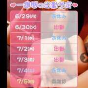 ヒメ日記 2026/06/29 12:15 投稿 りずむ ぺろぺろベロベロ専科 ぺろんちょ