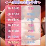 ヒメ日記 2026/09/14 10:45 投稿 りずむ ぺろぺろベロベロ専科 ぺろんちょ