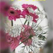 ヒメ日記 2026/02/27 11:41 投稿 前田ゆかり アラフォーna奥様 アラフィフna奥様（埼玉ハレ系）