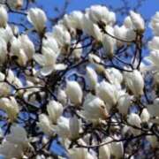 前田ゆかり 申し訳ございません アラフォーna奥様 アラフィフna奥様（埼玉ハレ系）