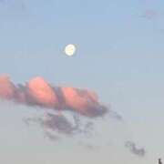 ヒメ日記 2026/05/08 13:30 投稿 前田ゆかり アラフォーna奥様 アラフィフna奥様（埼玉ハレ系）