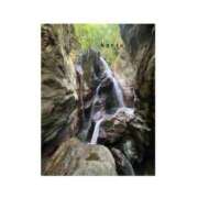 ヒメ日記 2026/02/26 20:40 投稿 かりん ぷるるん小町日本橋店