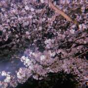 ヒメ日記 2026/04/10 17:21 投稿 ゆの 愛知弥富ちゃんこ