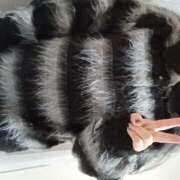 ヒメ日記 2026/02/11 15:25 投稿 神崎らら 熟女パラダイス京都店（カサブランカグループ）