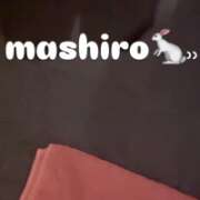 ヒメ日記 2026/02/10 12:16 投稿 マシロ【超絶エロ過ぎバニー】 バニーコレクション 中洲店