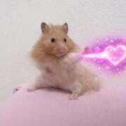 (スタン)式波あすか ▶️次回 風俗イキタイいわき店