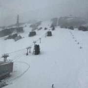 ヒメ日記 2026/02/19 17:53 投稿 奈々 池袋角海老