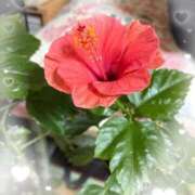 ヒメ日記 2026/03/10 10:13 投稿 奈々 池袋角海老