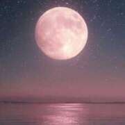 ヒメ日記 2026/04/03 17:43 投稿 奈々 池袋角海老