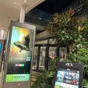 ヒメ日記 2026/09/13 13:33 投稿 奈々 池袋角海老