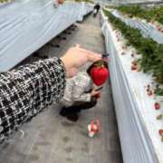 ヒメ日記 2026/03/23 11:24 投稿 らむ i-doll（あいどーる）