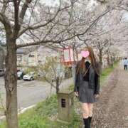 ヒメ日記 2026/02/16 11:41 投稿 新人・瑛蓮(えれん) グランドオペラ福岡