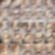 ヒメ日記 2026/03/04 22:29 投稿 神楽はる FORTE