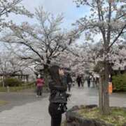 のの のの（スピード梅田店） スピード梅田店