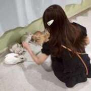 ひめ ありがとう🐱🐰 Grace東京