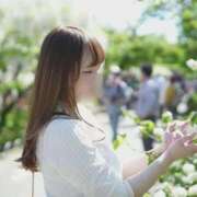 ヒメ日記 2026/04/08 03:47 投稿 福留ゆな 五反田ウルトラファンタジー