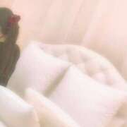 ヒメ日記 2026/02/22 23:15 投稿 生田　なお つくば風俗エキスプレス   ヌキ坂46