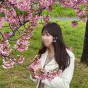 Miku ?桜を見に行ってきました? THE RICH