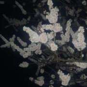 るな 季節の香り 恵比寿ニューヨーク