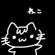 ヒメ日記 2026/03/01 02:50 投稿 るな 恵比寿ニューヨーク