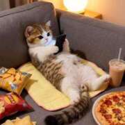 ヒメ日記 2026/03/11 17:02 投稿 るな 恵比寿ニューヨーク