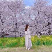 ヒメ日記 2026/04/01 16:01 投稿 るな 恵比寿ニューヨーク